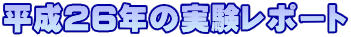 QUN̎|[g